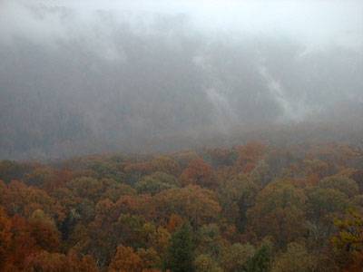 misty_view.jpg (25153 bytes)