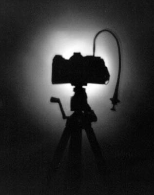 bw006