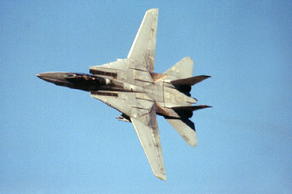 f14 tomcat images. Day: Goodbye, F-14 Tomcat.