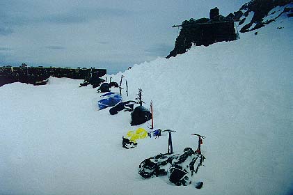 muir.jpg (22393 bytes)