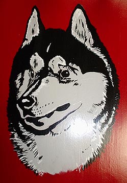husky.jpg